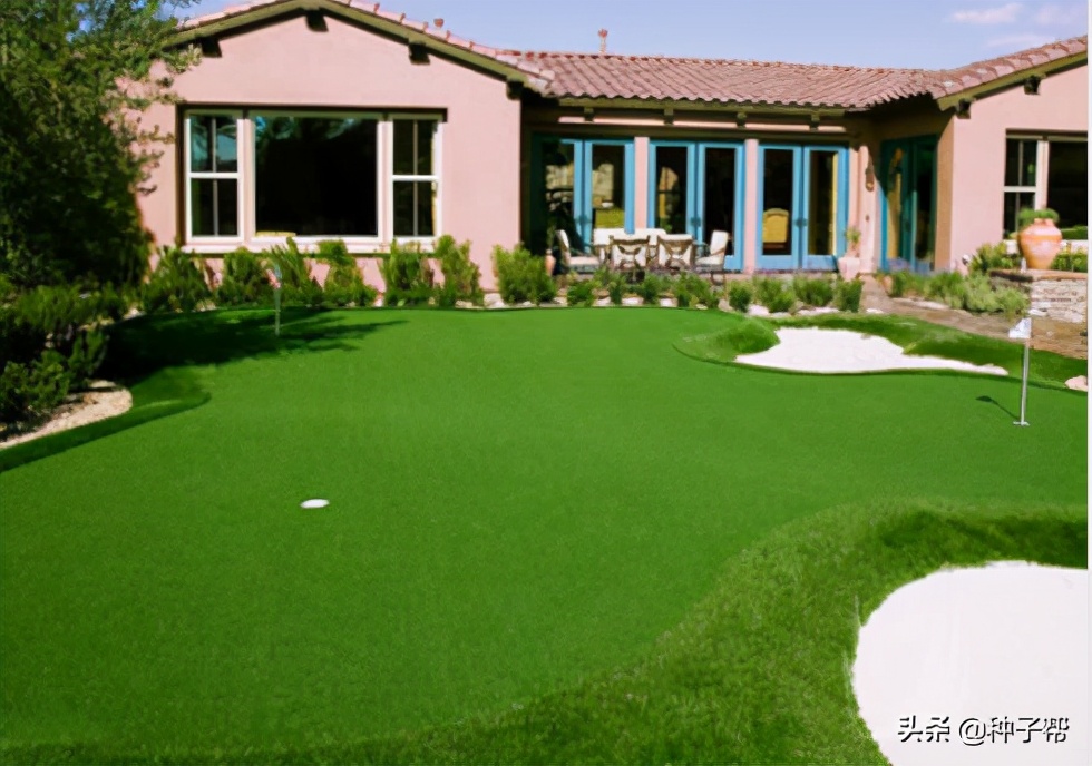 高尔夫球场常用的草坪,高尔夫球场果岭是什么草