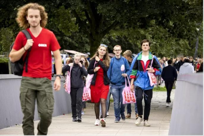 荷兰美景的照片,好看的荷兰风景图