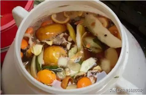 酵素制作,让厨余垃圾零废弃,秒变环保达人,内附制作方法
