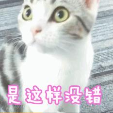 宠物吃生骨肉没有寄生虫么,宠物寄生虫对身体有害吗