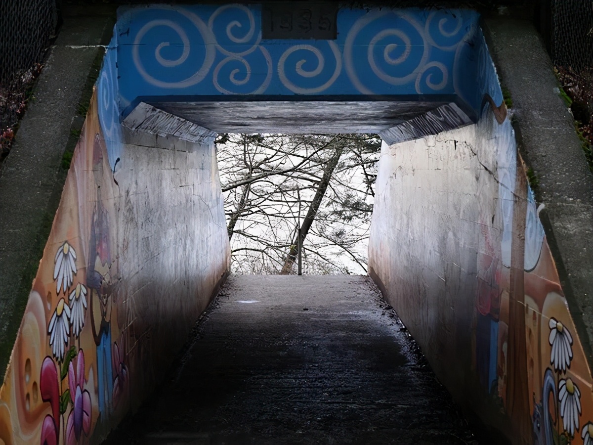 富士中画幅相机gfx100s有什么优点,富士中画幅相机gfx100s