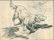 民间故事狼妻全集,民间故事狼夫