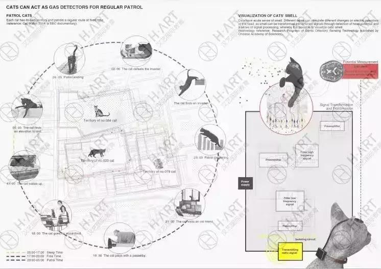 80后热门选题,当代95后话题