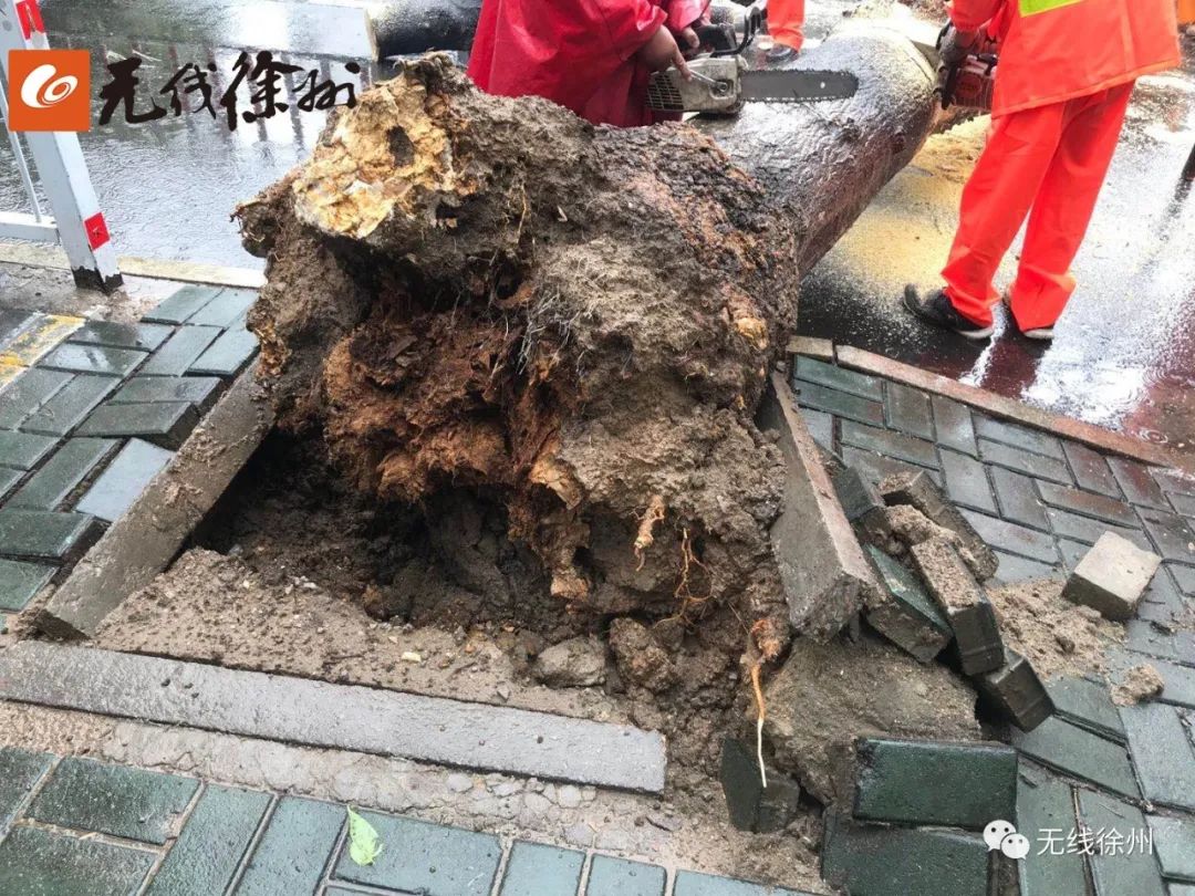 徐州一夜暴雨路上有积水吗,徐州暴雨积水最新通报