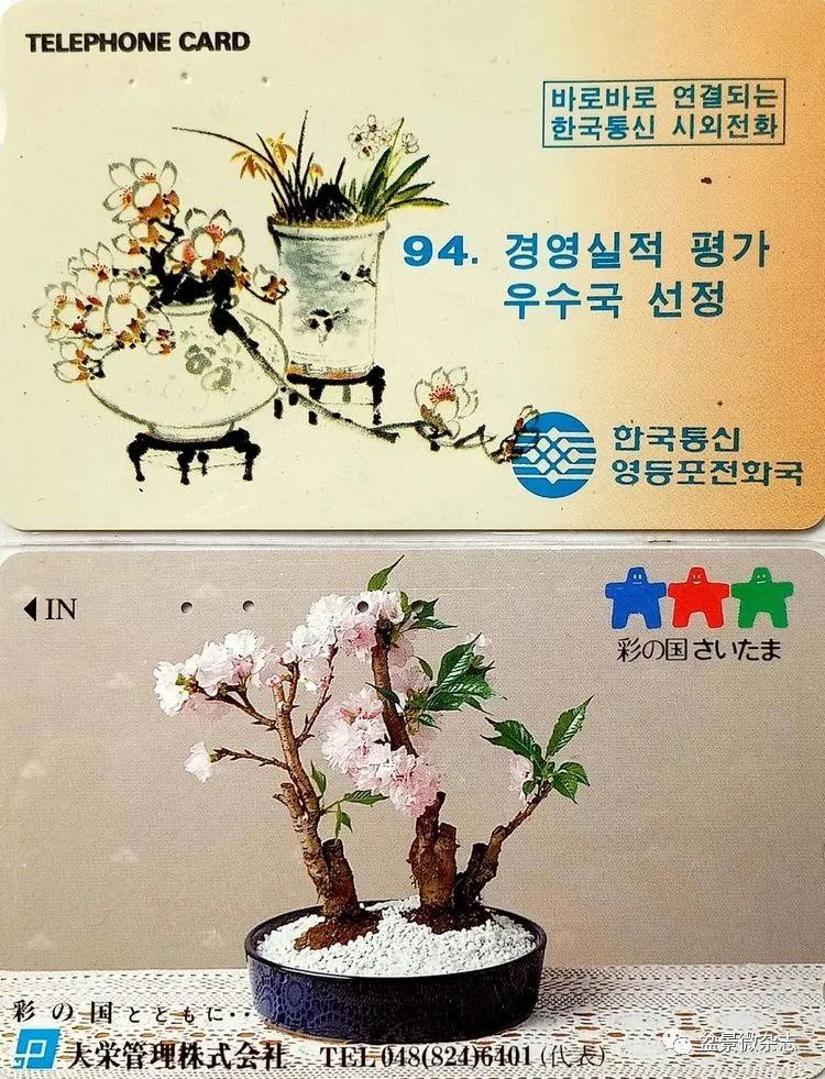 鐩嗘櫙鑱旂郴鐢佃瘽鍙风爜,涓鐩嗘櫙鑱旂郴鏂瑰紡