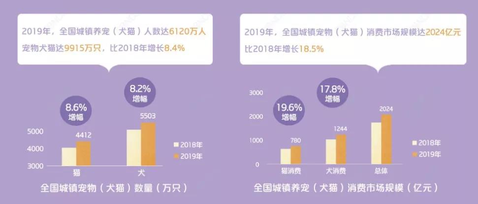 从铲屎官到创业者，他带领FURFURLAND销售额增长15倍