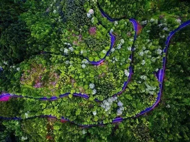宁波最美盘山公路,刺激盘山公路
