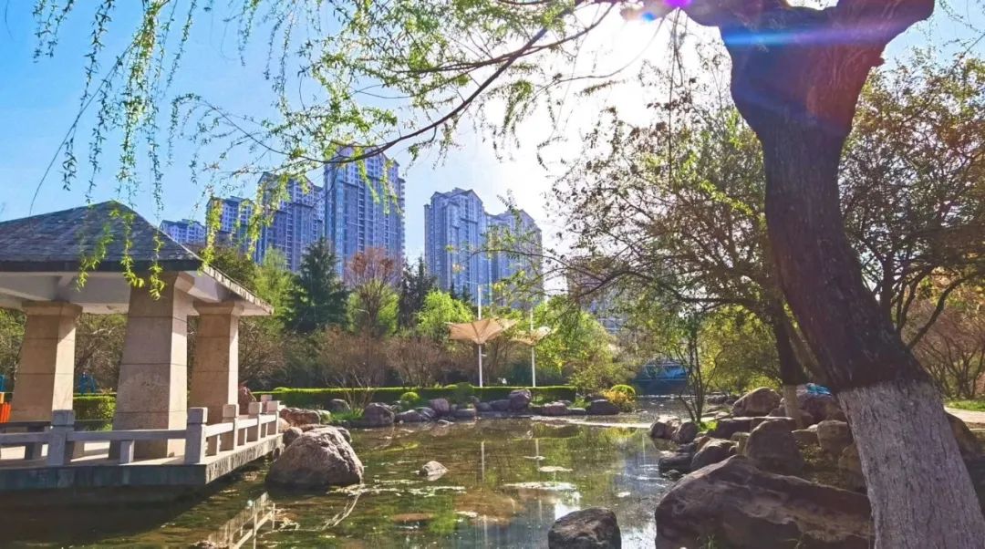 郑州楼市进入新拐点,郑州楼市近十年价格趋势