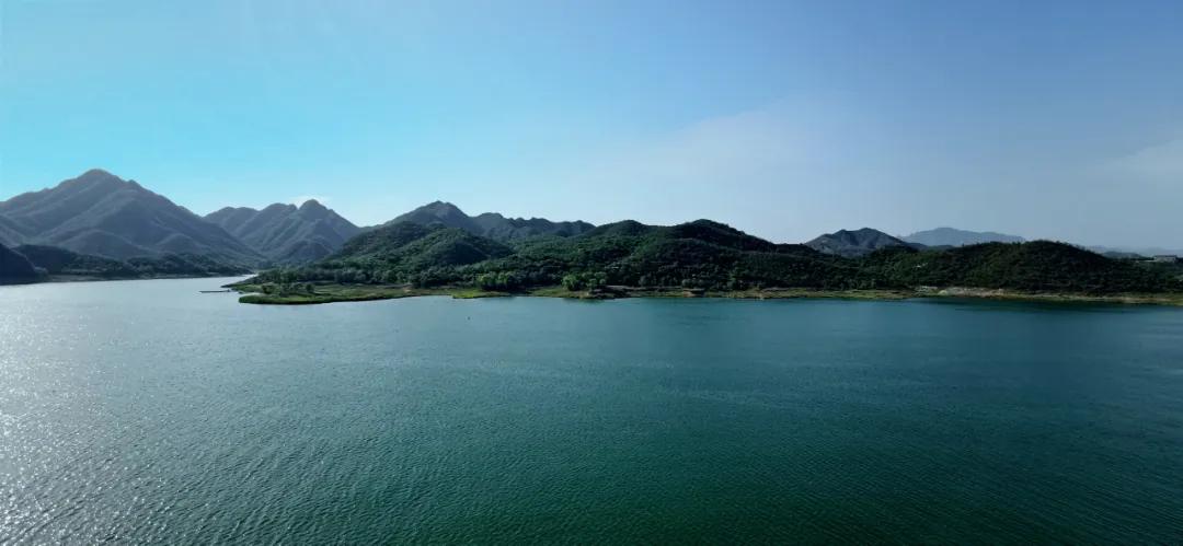 圆歌集团魏娜简介,圆歌文商旅魏娜