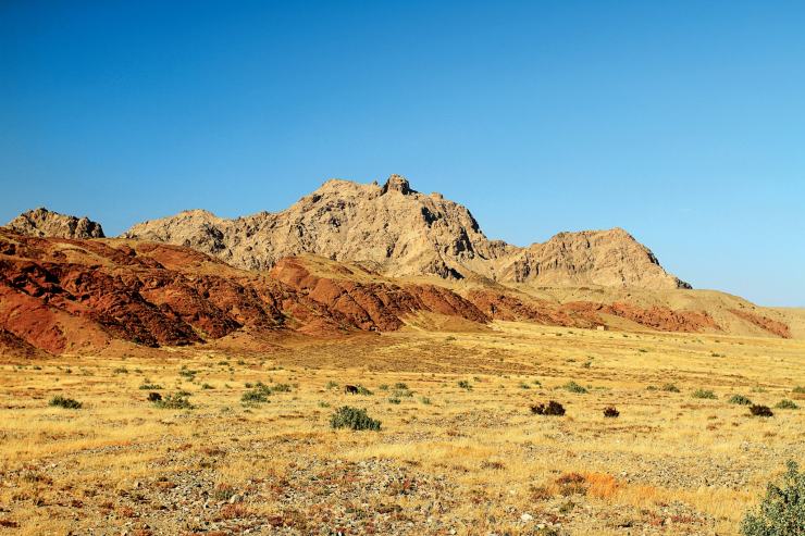 风滚草入侵外国公路,风滚草入侵中国后怎样了
