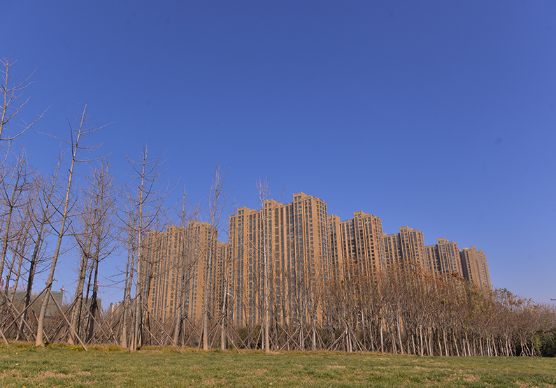 鍏夊奖鎽勫奖鐢熸椿鍦烘櫙,鍏夊奖鐢熸椿鎽勫奖浣滃搧娆ｈ祻