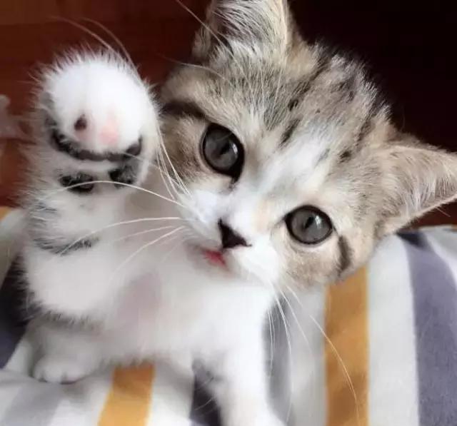 一周测评精选,一周测评推荐好物