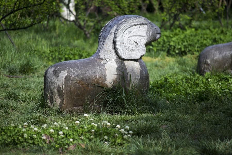 沣河往事，我的爷呀，我的河