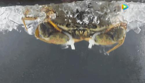 所有人都想请他来东莞拍「肉戏」