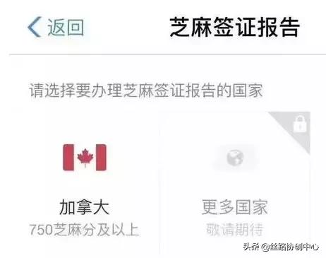 支付宝申根国怎样办理,支付宝芝麻信用免押金申请