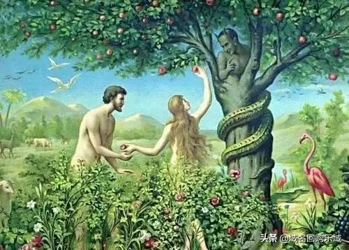 域名资讯介绍,域名最新新闻