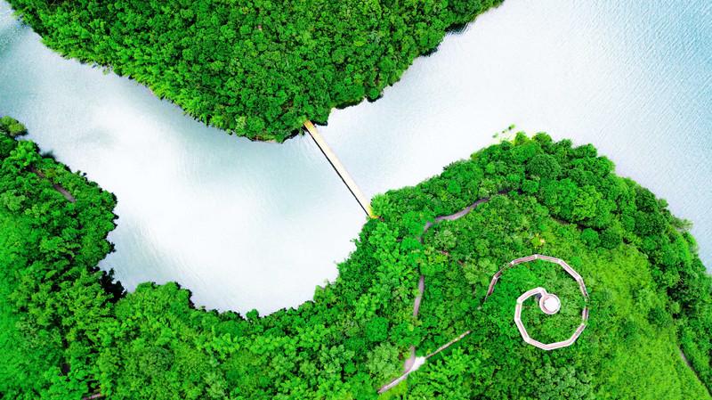 深圳隐藏着一个世外花海公园,深圳茶园