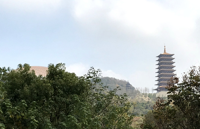 采菊东篱下悠然见南山拙政园,采菊东篱下悠然见南山芒种