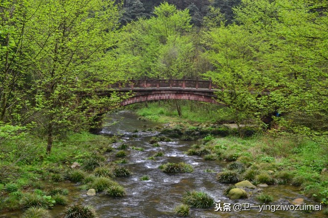 长沙到张家界旅游攻略自由行,长沙到张家界房车自驾游