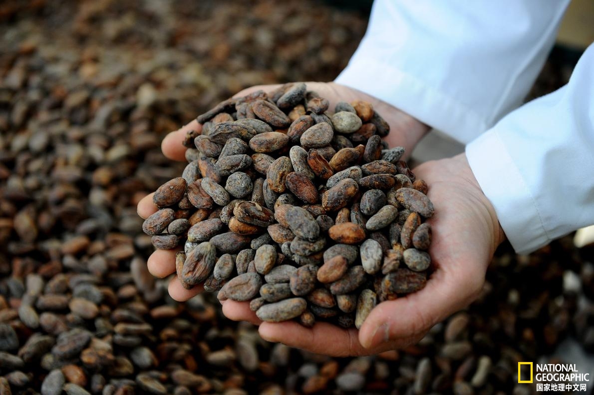 探秘莫斯科巧克力工厂,世界十大巧克力产地排行榜