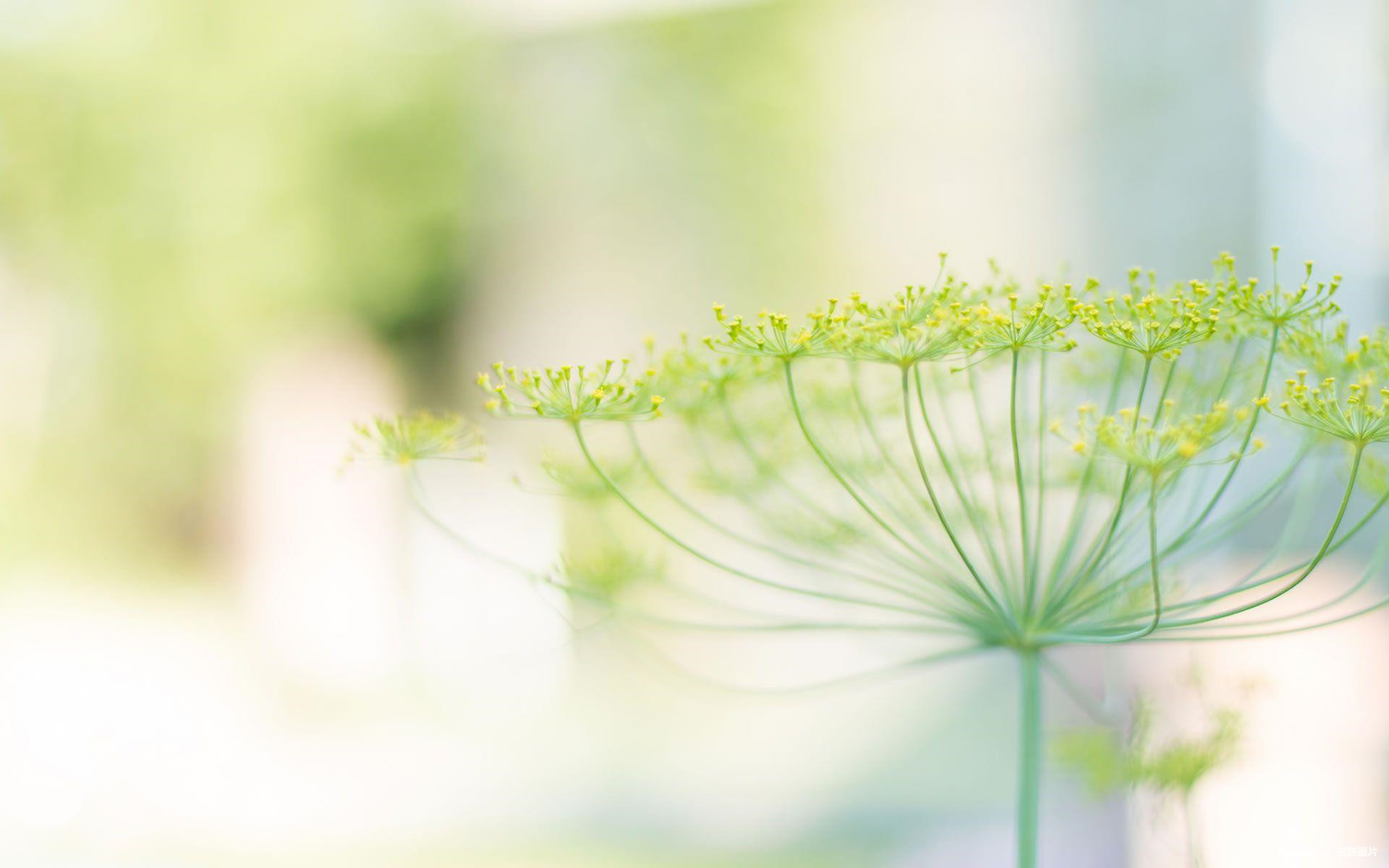 你还在网上买什么,你还在某宝买东西吗