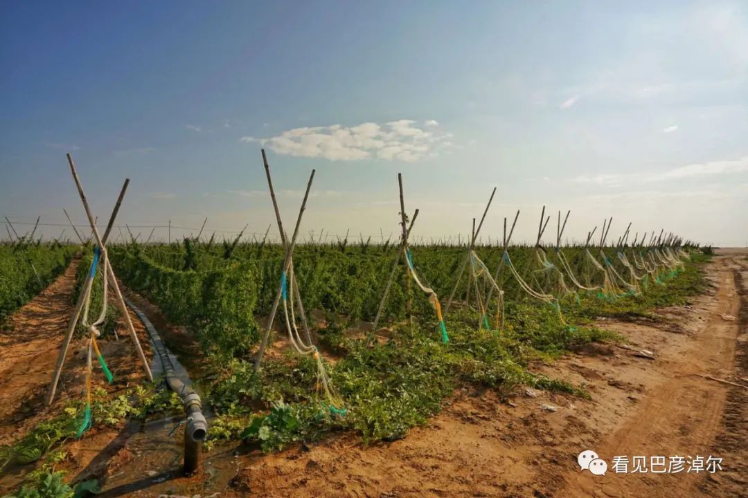 来认识一个不一样的我翻译,来认识不一样的滑雪