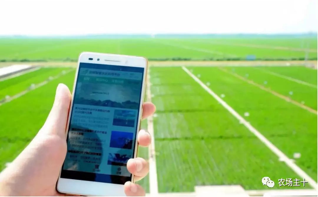 马云耕地亩产多少,马云谈现代农业