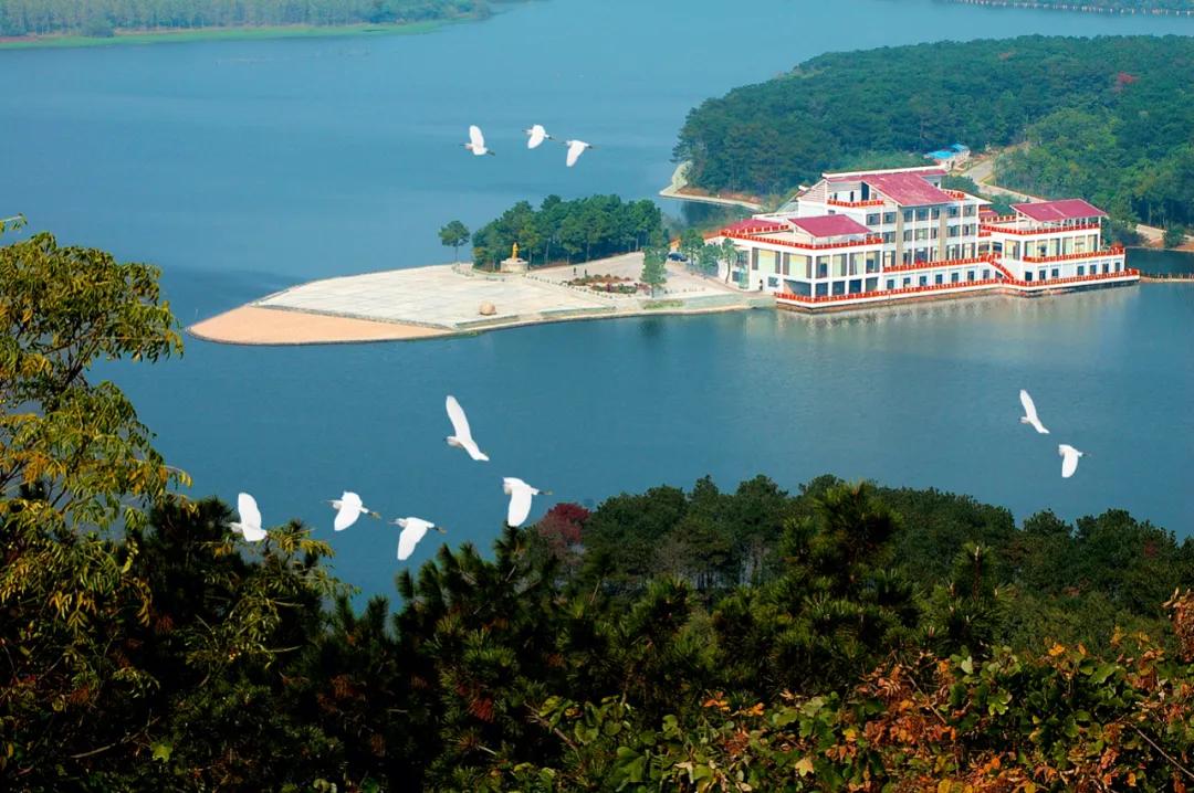 去滁州琅琊山旅游攻略,滁州白鹭岛一日游详细攻略