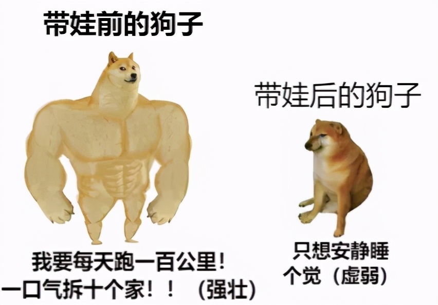 妈妈训孩子狗子护孩子,家长教育孩子对待宠物