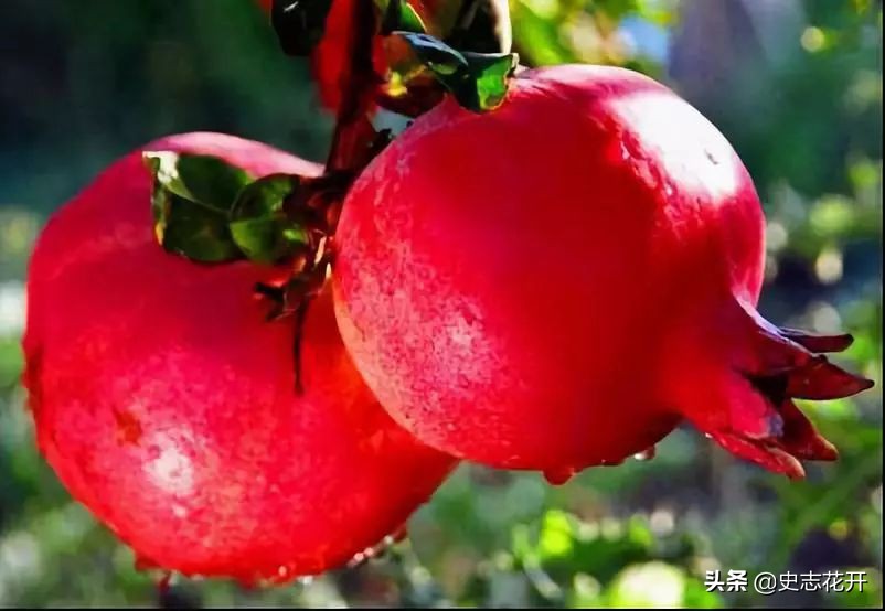 又到九月的时候图片,又到九月的图片