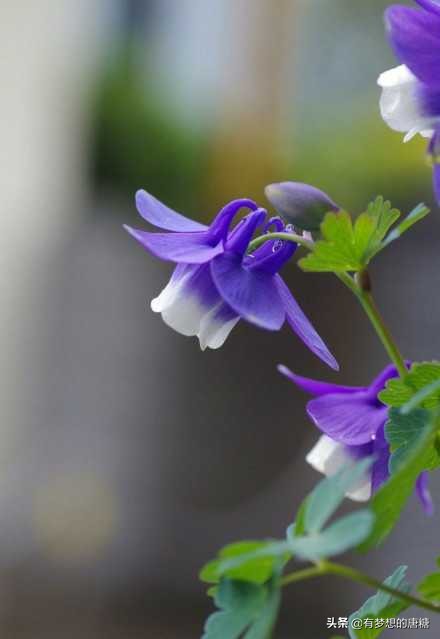 孩子叛逆不写作业跟家人吵架,孩子贪玩不写作业该不该打