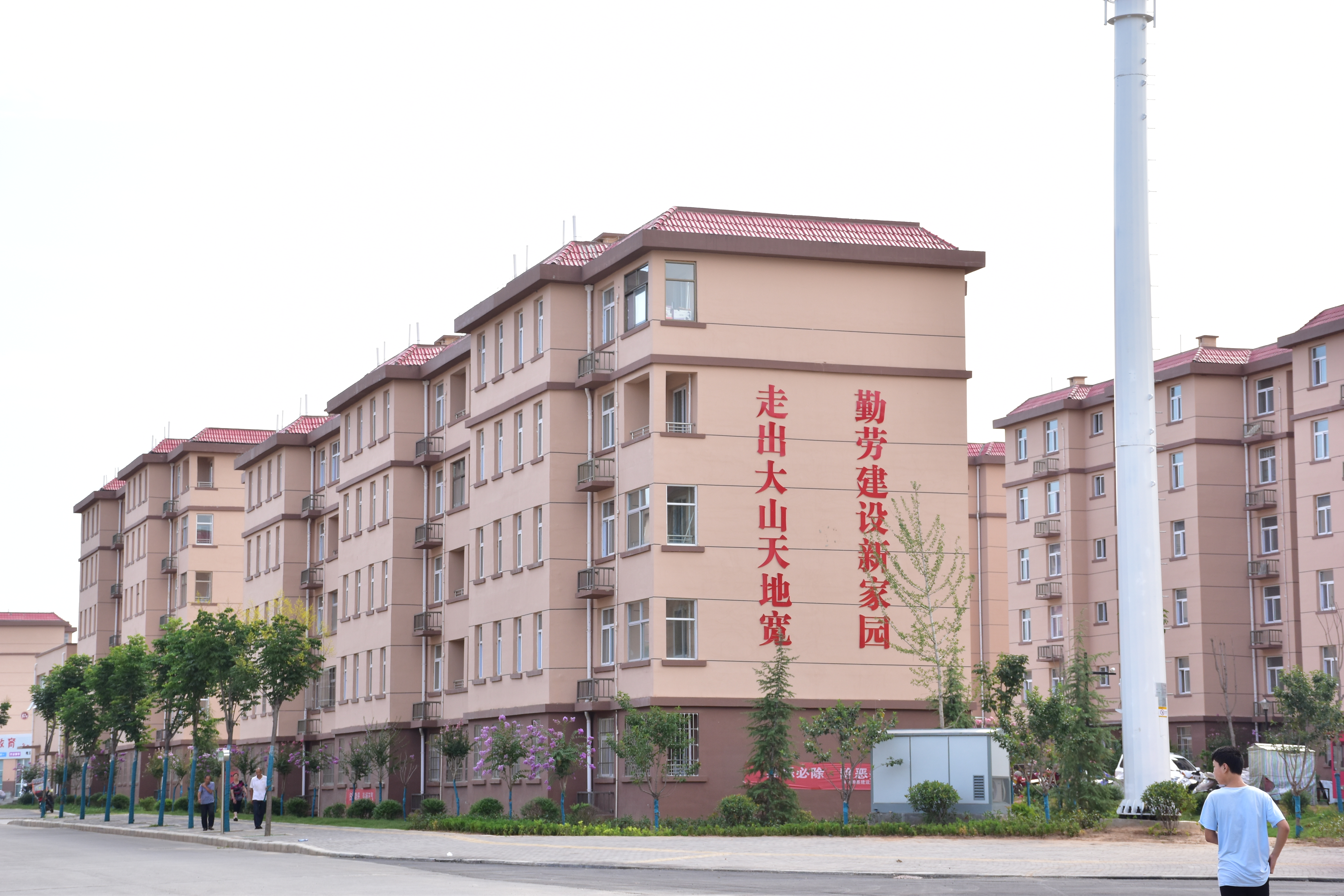 小我融入大我青春献给祖国｜“脱贫致富”体验实践团走进卢氏县