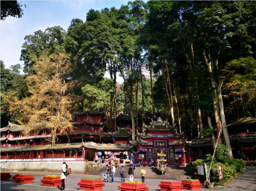 坐上公交去旅行!跟着这条101路线,带你玩遍大半个都江堰~一站一景,吃喝玩乐一网打尽!