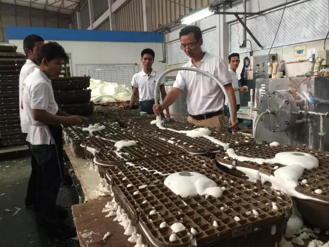 乳胶枕里的秘密,真正的乳胶枕是怎样的