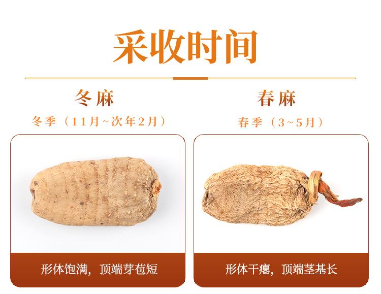 贵州的道地药材天麻,天麻属于哪里的道地药材