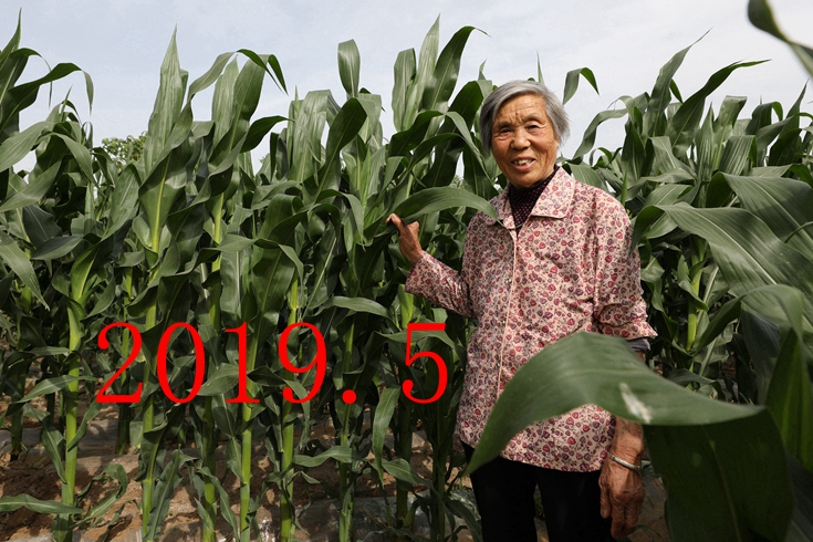 最美的她歌曲原唱,最美的歌献给我的母亲