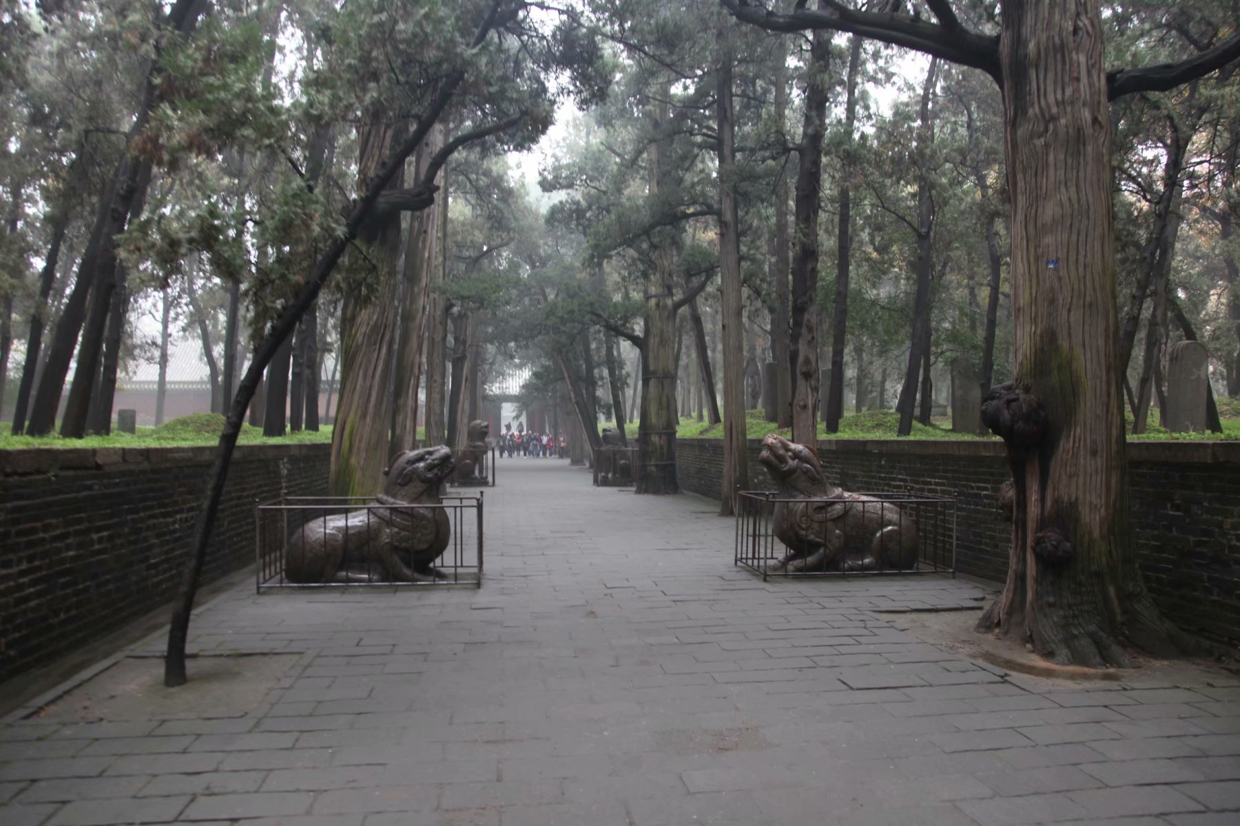 三孔在多少年被收入世界遗产名录,中国世界文化遗产三孔面积