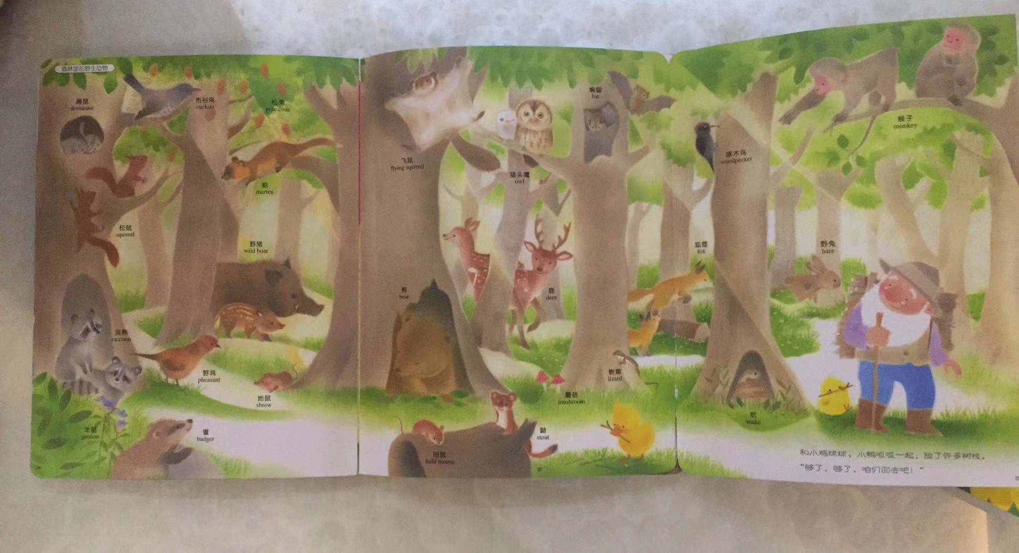 0-3岁立体绘本推荐,0-2岁幼儿阅读绘本推荐