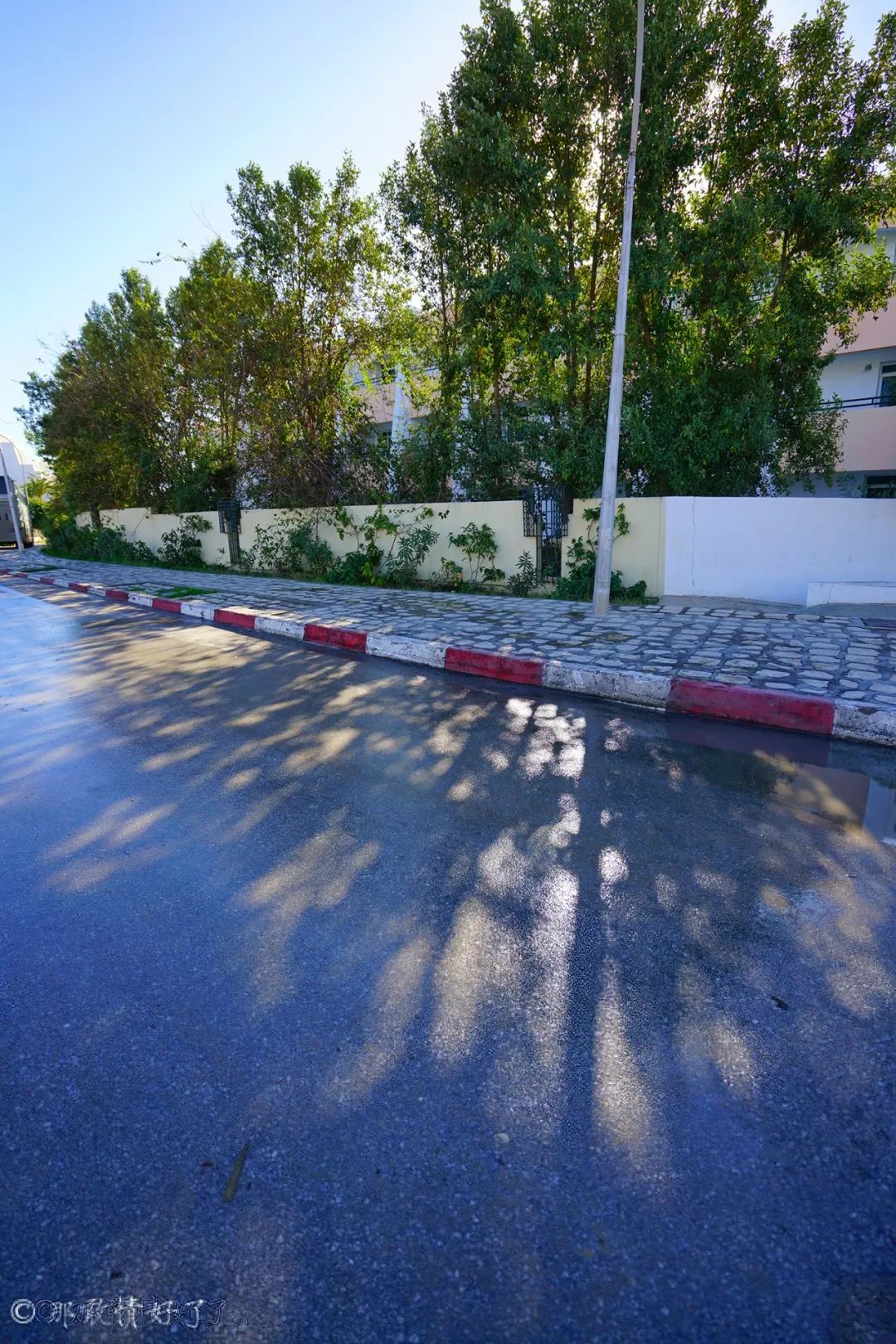 古代突尼斯城的港口,古老的地中海