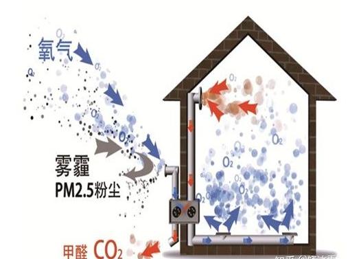 柚子皮跟绿萝哪个去除甲醛效果好,洋葱柚子绿萝去甲醛有用吗