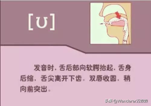 英语48个音标发音附详细图解,音标发音48个正确发音讲解视频
