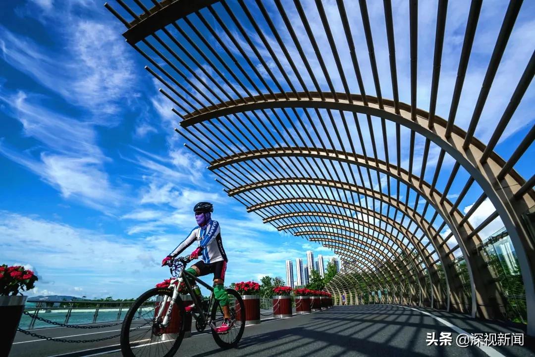 这就是幸福日本歌曲,重庆幸福南山