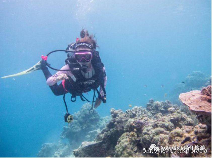仙本那七日游 (仙本那和沙巴七日游)