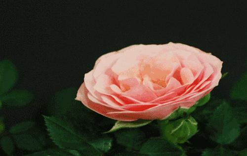 污话题|长时间“禁欲”会发生什么事?