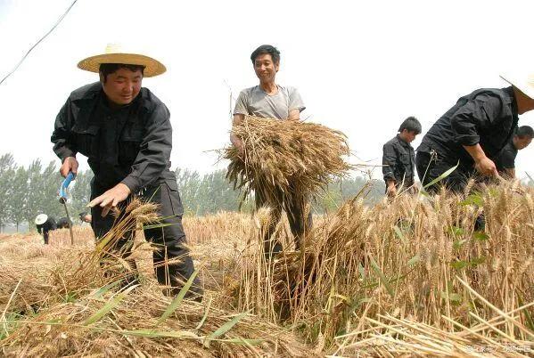铜川拉煤货运,铜川拉煤车