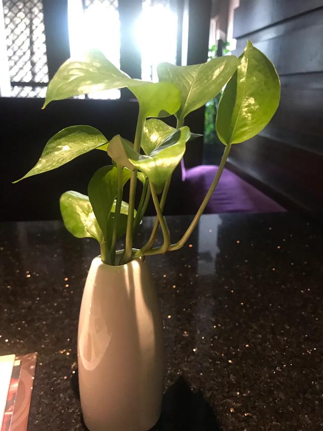 两岸咖啡新天地,两岸空间咖啡