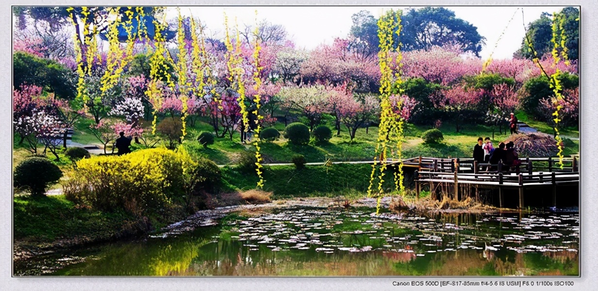 江苏省无锡市4a景区,江苏省无锡市旅游景区免费的