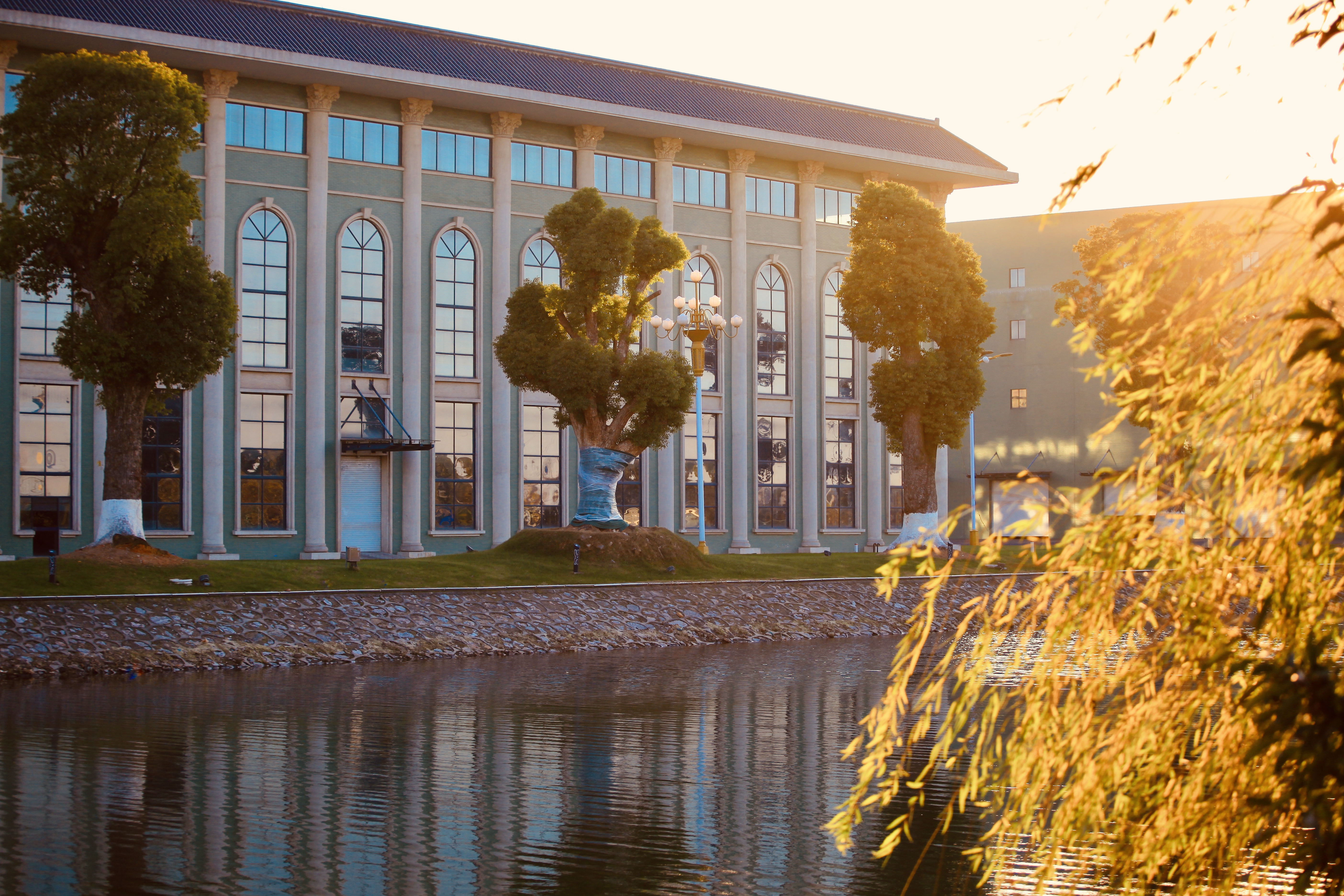 中医药发展机遇,中医药迎机遇期亟须加大创新力度