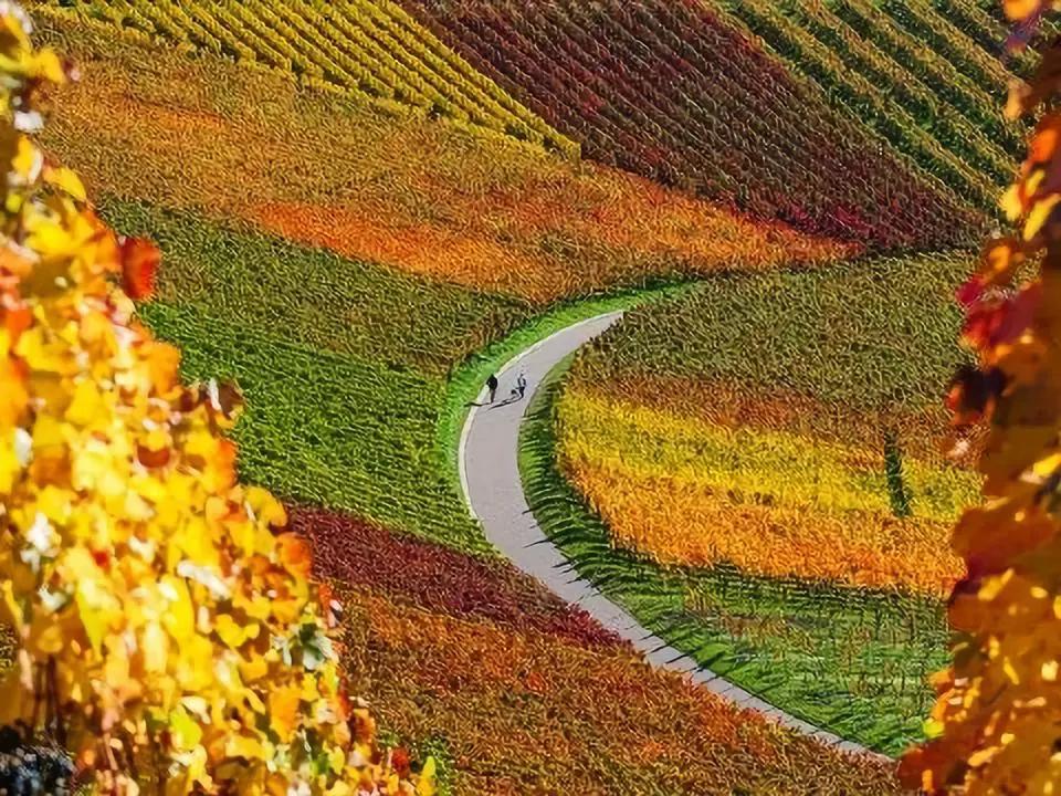 欣赏生活中的旋转之美,生活中的几何原理