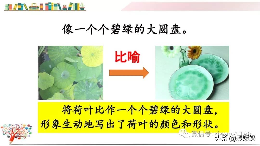 三年级下册荷花ppt课件部编版,三年级下册语文第三课荷花小练笔